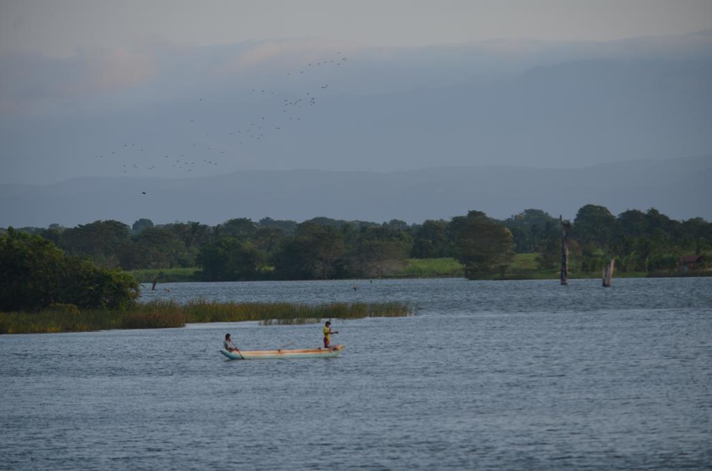 Makulu Safari Camping Udawalawe Eksteriør billede